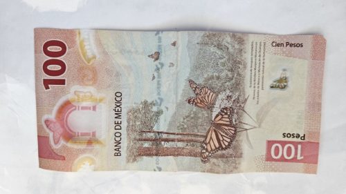20250507 075713