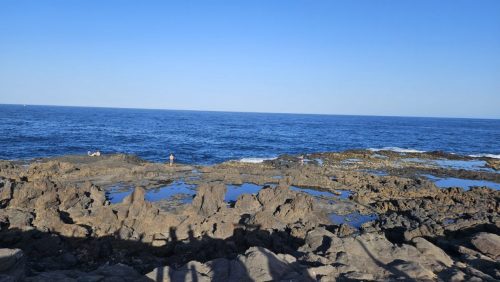 20251102 163634-Sredni