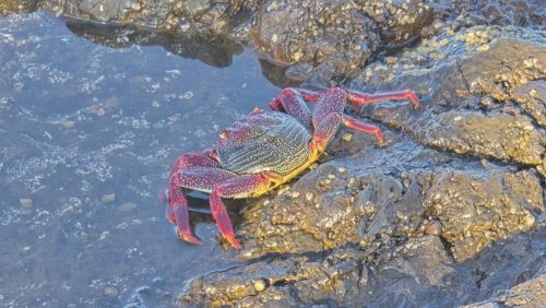 20251102 164120-Sredni