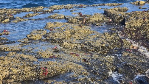 20251102 164200-Sredni