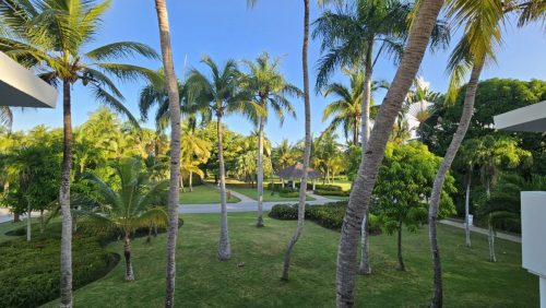 20260224 0749451-Sredni