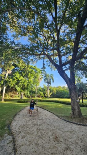 20260224 0757001-Sredni