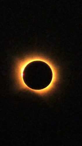 20260812 2031270