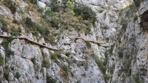 20260814 104729