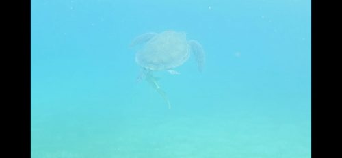 IMG-20250510-WA0047