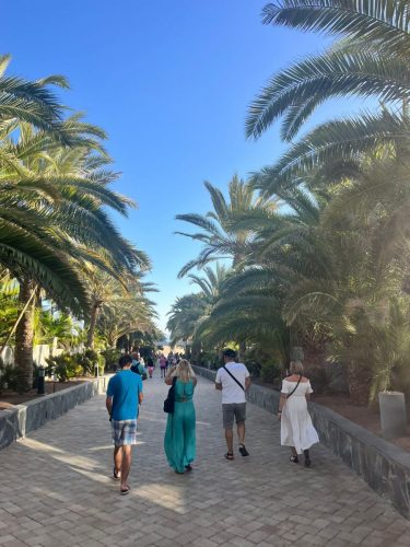 IMG-20251104-WA0340 (1)