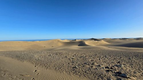 IMG-20251104-WA0676 (1)