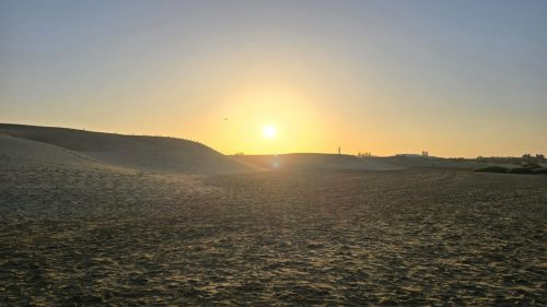 IMG-20251104-WA0685 (1)