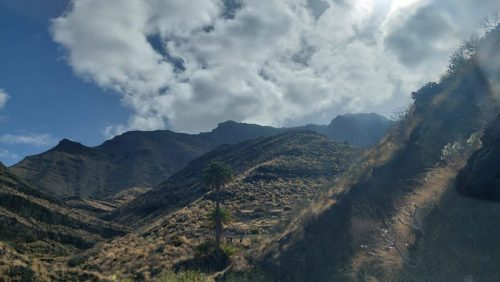 Zdjecie-WhatsApp-2025-11-05-o-22.46.11 a9cae663