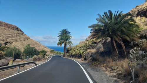 Zdjecie-WhatsApp-2025-11-05-o-22.46.13 f98970d2