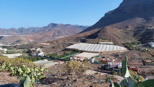 Zdjecie-WhatsApp-2025-11-05-o-22.46.21 81832ae7