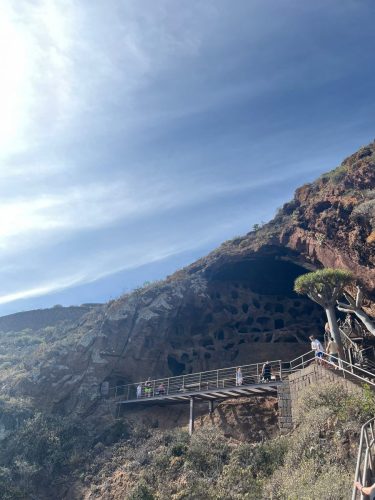 Zdjecie-WhatsApp-2025-11-05-o-23.06.52 a0aef073