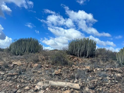 Zdjecie-WhatsApp-2025-11-06-o-19.03.12 3080181c