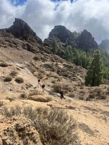 Zdjecie-WhatsApp-2025-11-06-o-19.03.37 5cced0cb