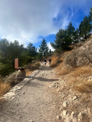 Zdjecie-WhatsApp-2025-11-06-o-19.03.44 a15d18f0