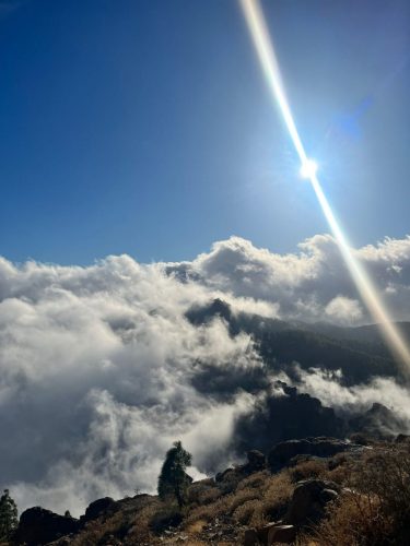 Zdjecie-WhatsApp-2025-11-06-o-19.03.45 29a2df0c