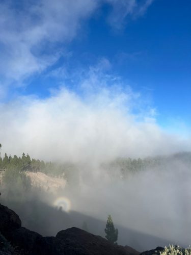 Zdjecie-WhatsApp-2025-11-06-o-19.03.46 a459f92c