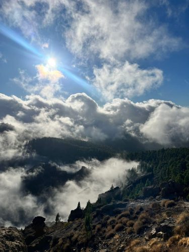 Zdjecie-WhatsApp-2025-11-06-o-19.03.49 86a7d694