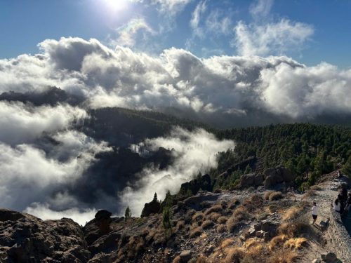 Zdjecie-WhatsApp-2025-11-06-o-23.06.54 686f8b53