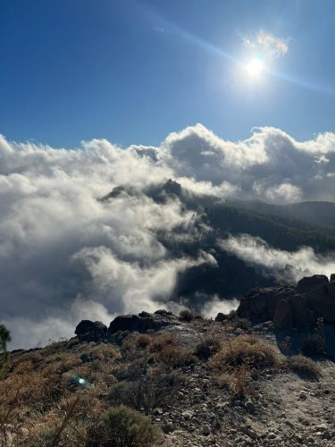 Zdjecie-WhatsApp-2025-11-06-o-23.13.38 1e98f8bb