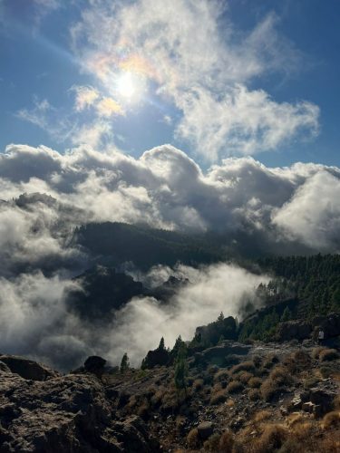 Zdjecie-WhatsApp-2025-11-06-o-23.13.38 8449355f