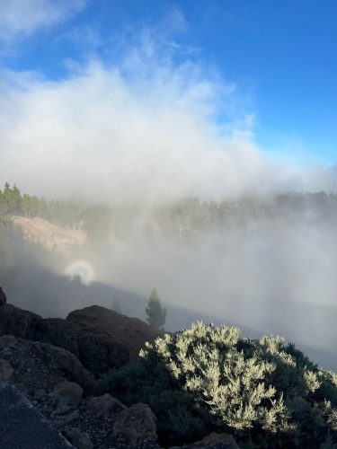 Zdjecie-WhatsApp-2025-11-06-o-23.13.38 f6c1f8e9