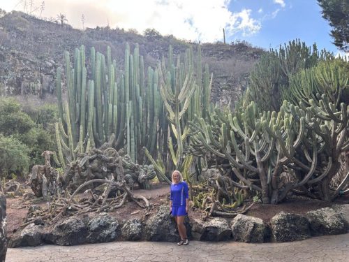 Zdjecie-WhatsApp-2025-11-07-o-18.30.02 5619b05f