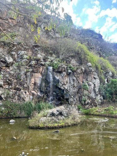 Zdjecie-WhatsApp-2025-11-07-o-20.12.41 23f217bb