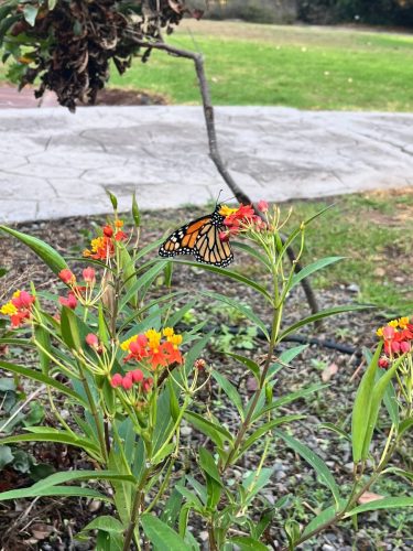 Zdjecie-WhatsApp-2025-11-07-o-20.12.42 3aaf254c