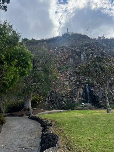 Zdjecie-WhatsApp-2025-11-07-o-20.12.43 6582759f