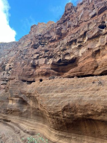 Zdjecie-WhatsApp-2025-11-07-o-20.52.51 8be0cc15