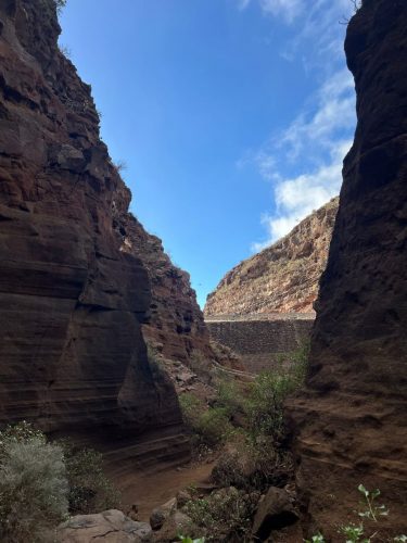 Zdjecie-WhatsApp-2025-11-07-o-20.52.51 ec5fed9d