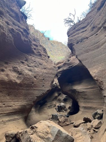 Zdjecie-WhatsApp-2025-11-07-o-20.52.52 3e11ca80