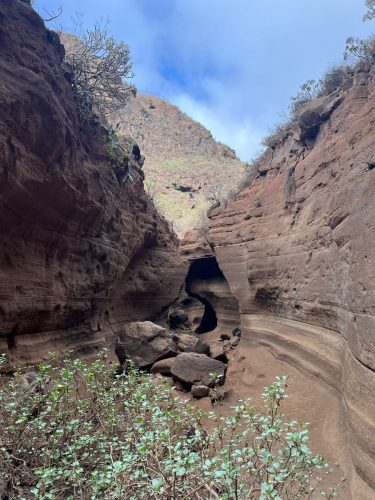 Zdjecie-WhatsApp-2025-11-07-o-20.52.53 48cd3975