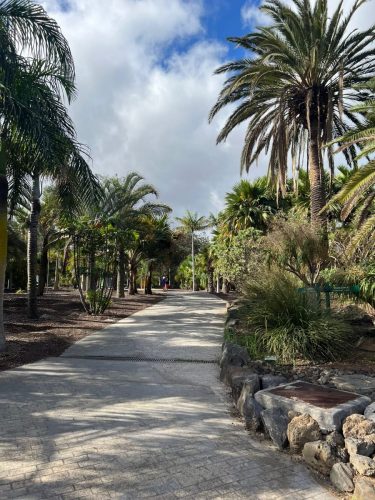 Zdjecie-WhatsApp-2025-11-07-o-20.52.57 46958ab5