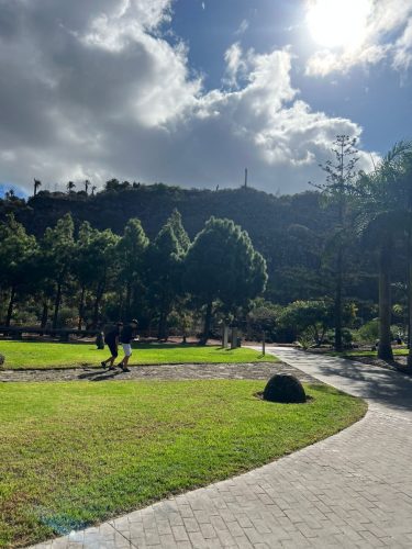 Zdjecie-WhatsApp-2025-11-07-o-20.52.57 b8759950