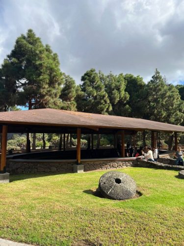 Zdjecie-WhatsApp-2025-11-07-o-20.52.57 fe76ab56