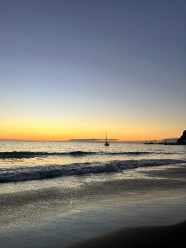 Zdjecie-WhatsApp-2025-11-08-o-21.28.58 ac0147a2