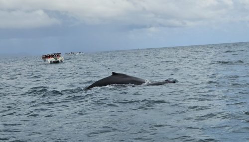 Zrzut-ekranu-2026-02-27-054644