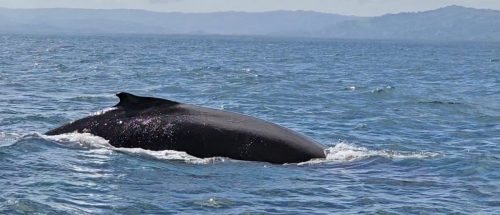 Zrzut-ekranu-2026-02-27-054838