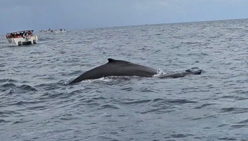 Zrzut-ekranu-2026-02-27-060216