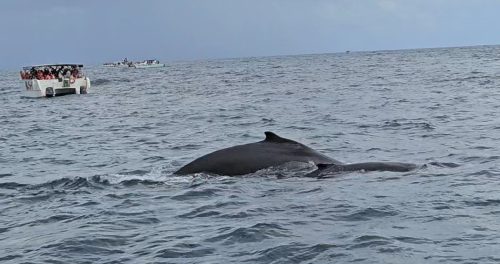 Zrzut-ekranu-2026-02-27-060239