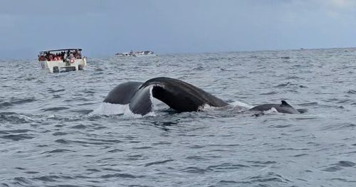 Zrzut-ekranu-2026-02-27-061905