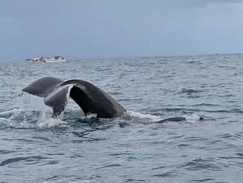 Zrzut-ekranu-2026-02-27-061933