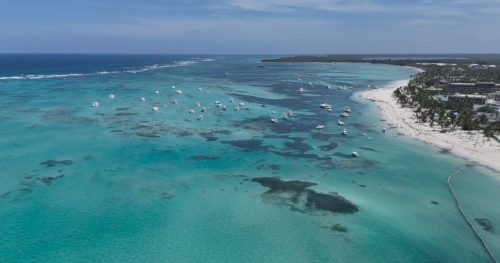 Zrzut-ekranu-2026-03-01-140707